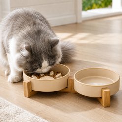 NonoPets Ceramic Slow Feeder with Wood Stand Dog & Cat Bowls, Brown