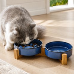 NonoPets Ceramic Slow Feeder with Wood Stand Dog & Cat Bowls, Blue slide 1 of 8