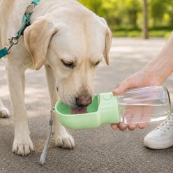 NonoPets 2-in-1 Leak-Proof Travel Dog Food Storage & Water Bottle, Green