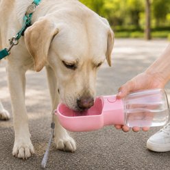 NonoPets 2-in-1 Leak-Proof Travel Dog Food Storage & Water Bottle, Pink