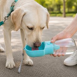 NonoPets 2-in-1 Leak-Proof Travel Dog Food Storage & Water Bottle, Blue
