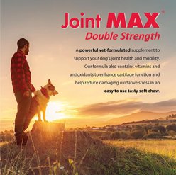Joint MAX Double Strength Soft Chews for Dogs, 120 count slide 2 of 9