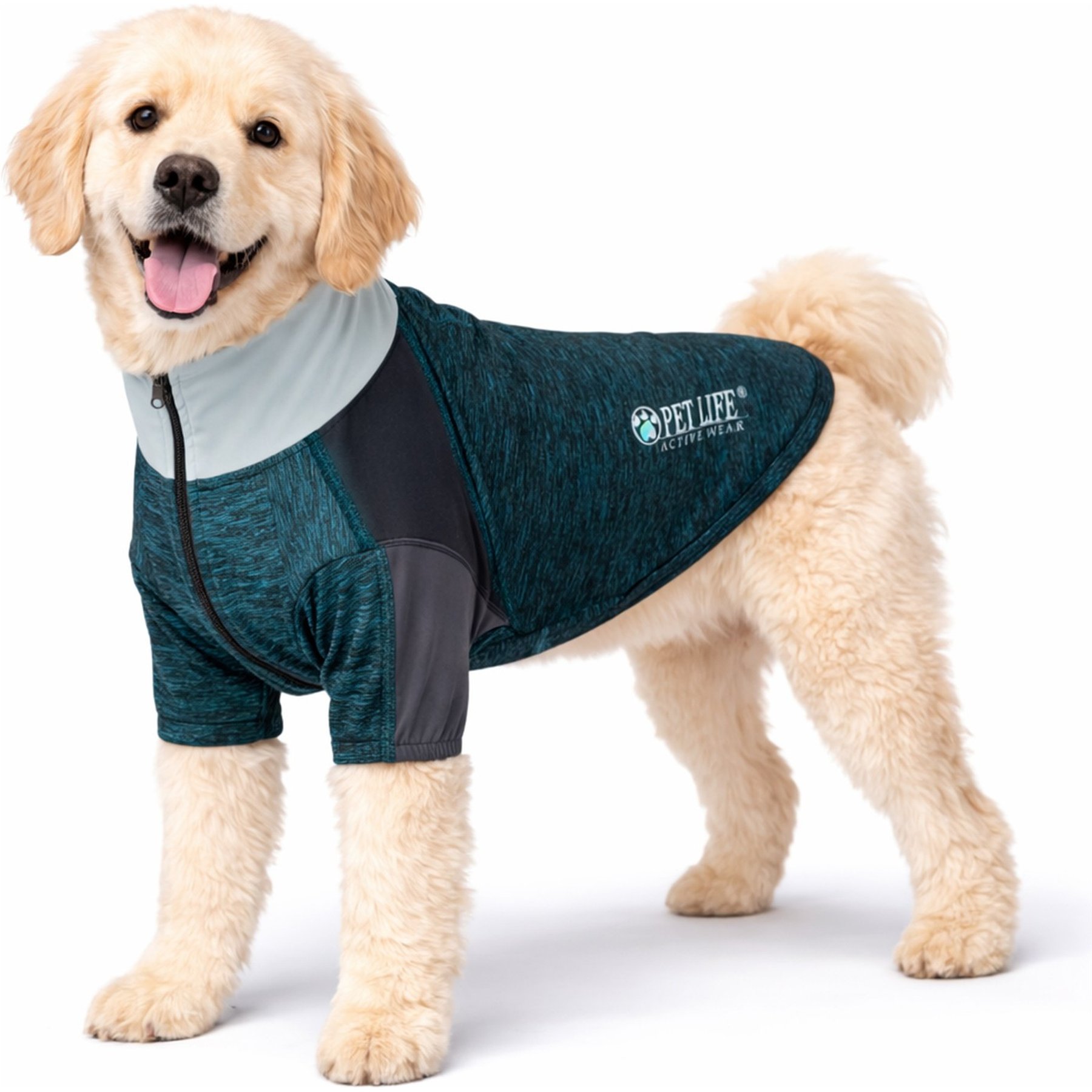 Pet Life Active Chewitt Wagassy 4-Way Stretch Performance Long Sleeve Dog T-Shirt, Teal, X-Small