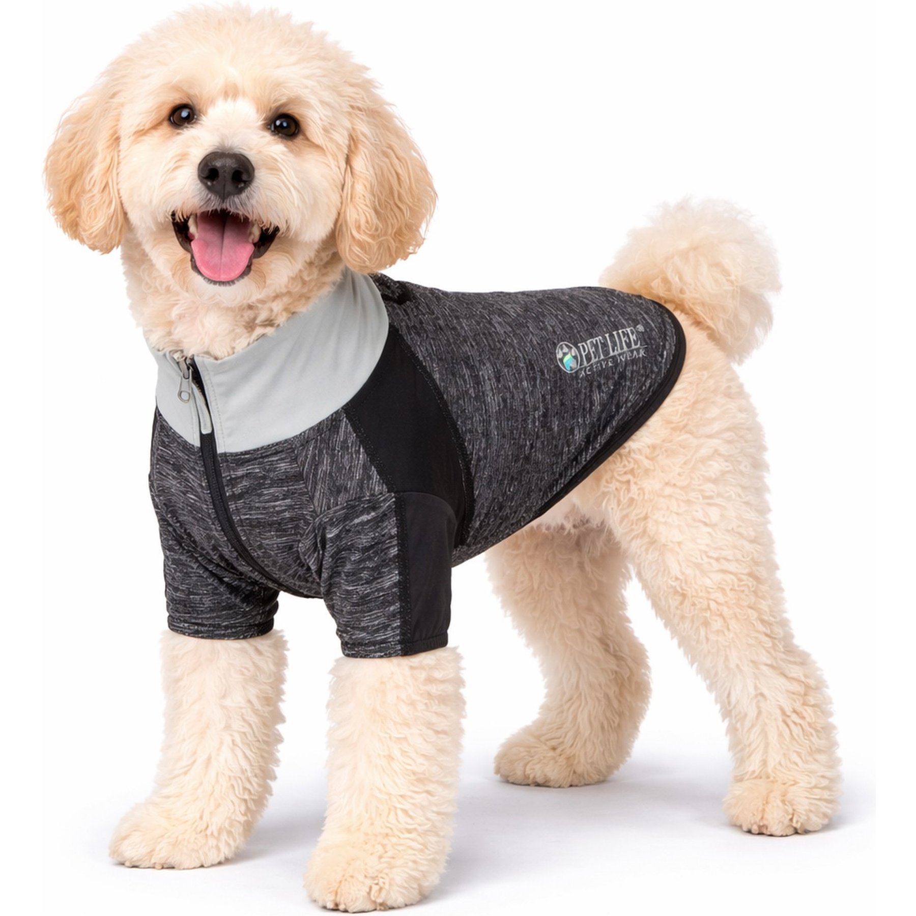 Pet Life Active Chewitt Wagassy 4-Way Stretch Performance Long Sleeve Dog T-Shirt, Black, Medium