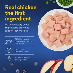 Chewy Made Kitten Chicken Recipe Grain-Free Dry Cat Food, 5-lb bag