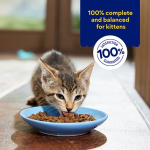 Chewy Made Kitten Chicken Recipe Grain-Free Dry Cat Food, 5-lb bag