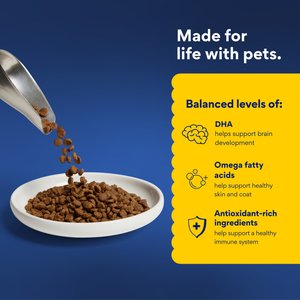 Chewy Made Kitten Chicken Recipe Grain-Free Dry Cat Food, 5-lb bag