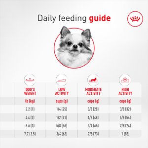 Royal Canin Breed Health Nutrition Chihuahua Adult Dry Dog Food, 10-lb bag