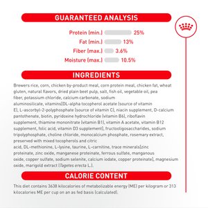 Royal Canin Breed Health Nutrition Chihuahua Adult Dry Dog Food, 10-lb bag