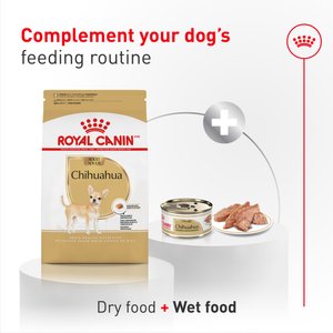 Royal Canin Breed Health Nutrition Chihuahua Adult Dry Dog Food, 10-lb bag