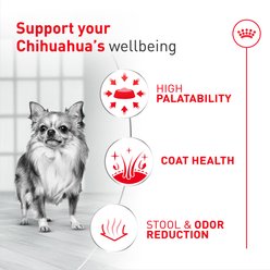 Royal Canin Breed Health Nutrition Chihuahua Adult Dry Dog Food, 10-lb bag slide 2 of 9
