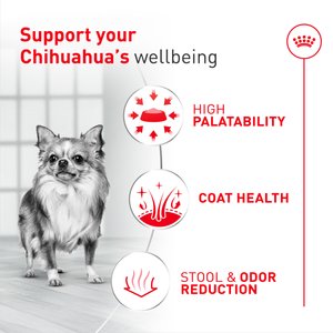 Royal Canin Breed Health Nutrition Chihuahua Adult Dry Dog Food, 10-lb bag