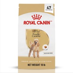 Royal Canin Breed Health Nutrition Poodle Adult Dry Dog Food, 10-lb bag