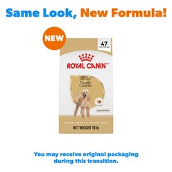 Royal Canin Breed Health Nutrition Poodle Adult Dry Dog Food, 10-lb bag slide 2 of 9