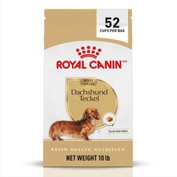Royal Canin Breed Health Nutrition Dachshund Adult Dry Dog Food, 10-lb bag