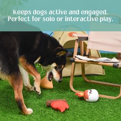 HugSmart Camping Plush Squeaky Variety Pack Dog Toy, X-Small/Small, 3 Count slide 2 of 5