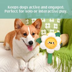 HugSmart Daisy Nylon Plush Squeaky Tug Dog Toy, Small/Medium slide 2 of 5