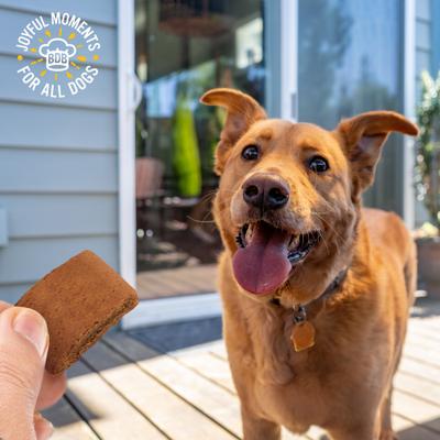 Show full view: Blue Dog Bakery Softies Pumpkin Flavor Dog Treats, 10-oz bag slide 8 of 11