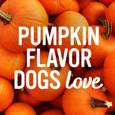 Show full view: Blue Dog Bakery Softies Pumpkin Flavor Dog Treats, 10-oz bag slide 6 of 11