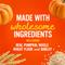 Show in main carousel: Blue Dog Bakery Softies Pumpkin Flavor Dog Treats, 10-oz bag slide 4 of 11
