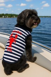 Parisian Pet Lobster Chasing Tail Dog Shirt, XXX-Large slide 2 of 4