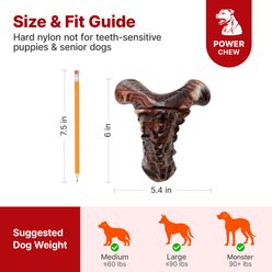 Potaroma Nylon Durable Y-Shaped Spine Bone with Bacon Flavor & Snack Groove Exercise Chew Dog Toy, Coffee slide 2 of 9