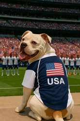 Parisian Pet Team USA Dog Jersey, XX-Large slide 2 of 4
