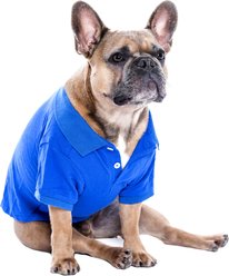 Parisian Pet Cool Tone Preppy Polo Dog Shirt, Blue, Small slide 2 of 4