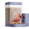 Show in main carousel: Birdfy Rookie Smart Bird Feeder with Camera, Blue slide 1 of 9