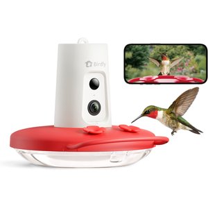 Birdfy Humming Bird Feeder with Camera Motion Detection, Red