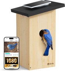 Birdfy Solar Powered Smart Bird House with Camera, Ebony slide 1 of 9