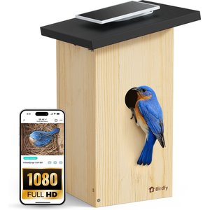 Birdfy Solar Powered Smart Bird House with Camera, Ebony
