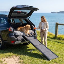 Yafylly Non-Slip Surface Dog Ramp, Black, 65 x 17.2-in slide 1 of 8