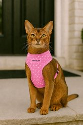 Parisian Pet Freedom Adjustable Dog Harness, Pink Dot, Medium: 12 to 17-in chest slide 2 of 4