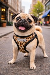 Parisian Pet Freedom Adjustable Dog Harness, Leopard, X-Small: 8 to 10-in chest slide 2 of 4