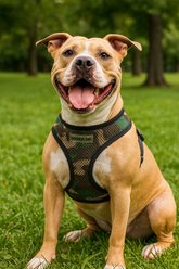Parisian Pet Freedom Adjustable Dog Harness, Camo, Small: 10 to 12-in chest slide 2 of 4