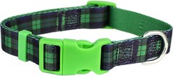 Parisian Pet Scottish Plaid Dog & Cat Collar, Green & Blue, Medium: 14 to 20-in neck, 3/4-in wide