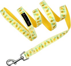 Parisian Pet Pineapples Dog & Cat Collar, Large: 18 to 26-in neck, 1-in wide slide 2 of 4