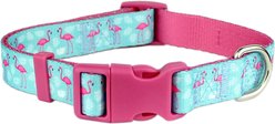 Parisian Pet Flamingos Dog & Cat Collar, Medium: 14 to 20-in neck, 3/4-in wide
