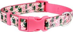 Parisian Pet Tropical Toucans Dog & Cat Collar, Large: 18 to 26-in neck, 1-in wide
