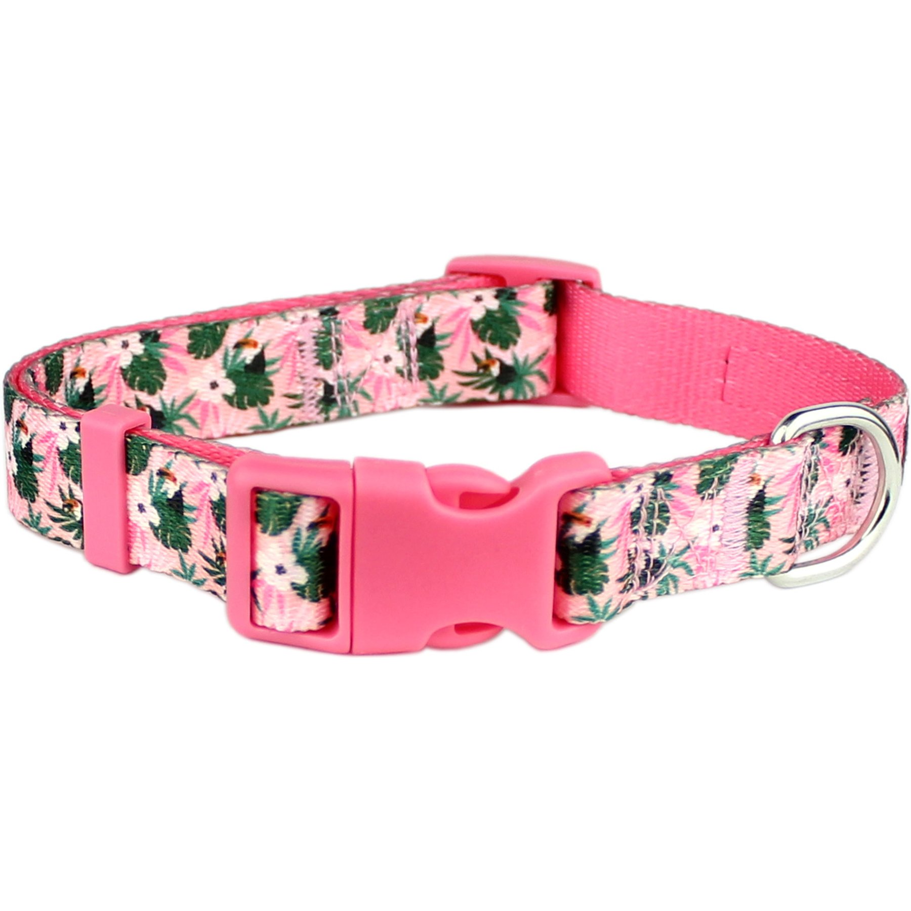 Parisian Pet Tropical Toucans Dog & Cat Collar, Large: 18 to 26-in neck, 1-in wide