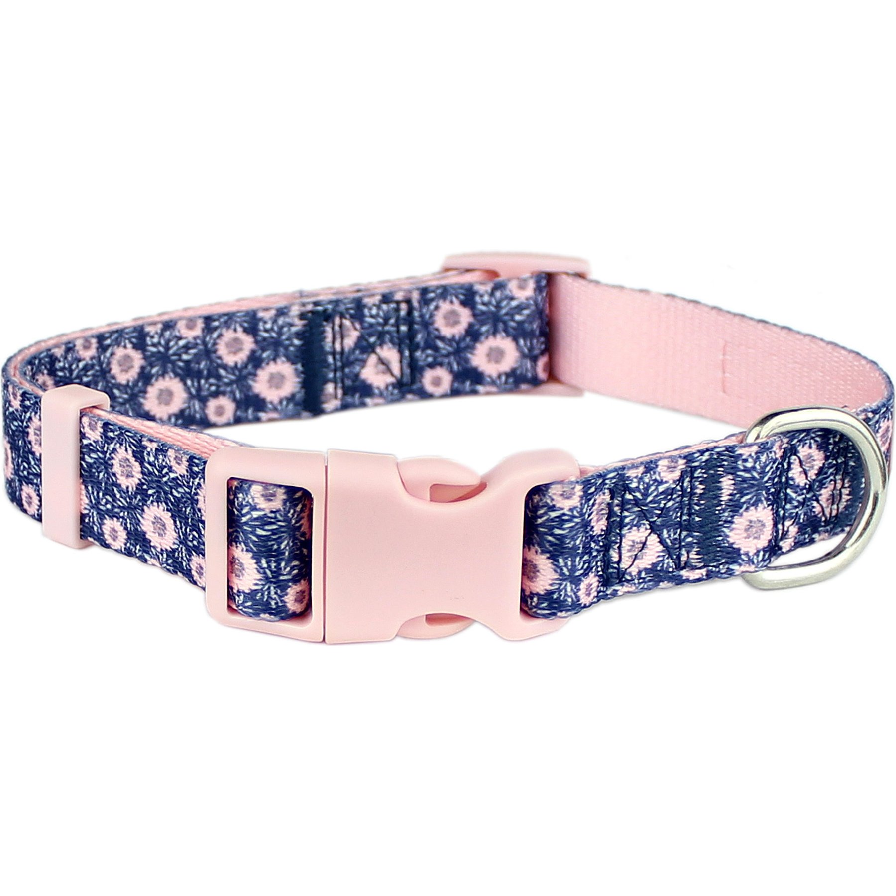 Parisian Pet Midnight Blossoms Dog & Cat Collar, Small: 10 to 16-in neck, 5/8-in wide
