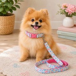 Parisian Pet Spring Blossoms Dog & Cat Collar, Large: 18 to 26-in neck, 1-in wide slide 2 of 4