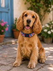 Parisian Pet Hibiscus Dog & Cat Leash, Blue, 4-ft long, 0.75-in wide slide 2 of 4