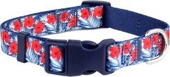 Parisian Pet Hibiscus Dog & Cat Leash, Blue, 4-ft long, 0.75-in wide