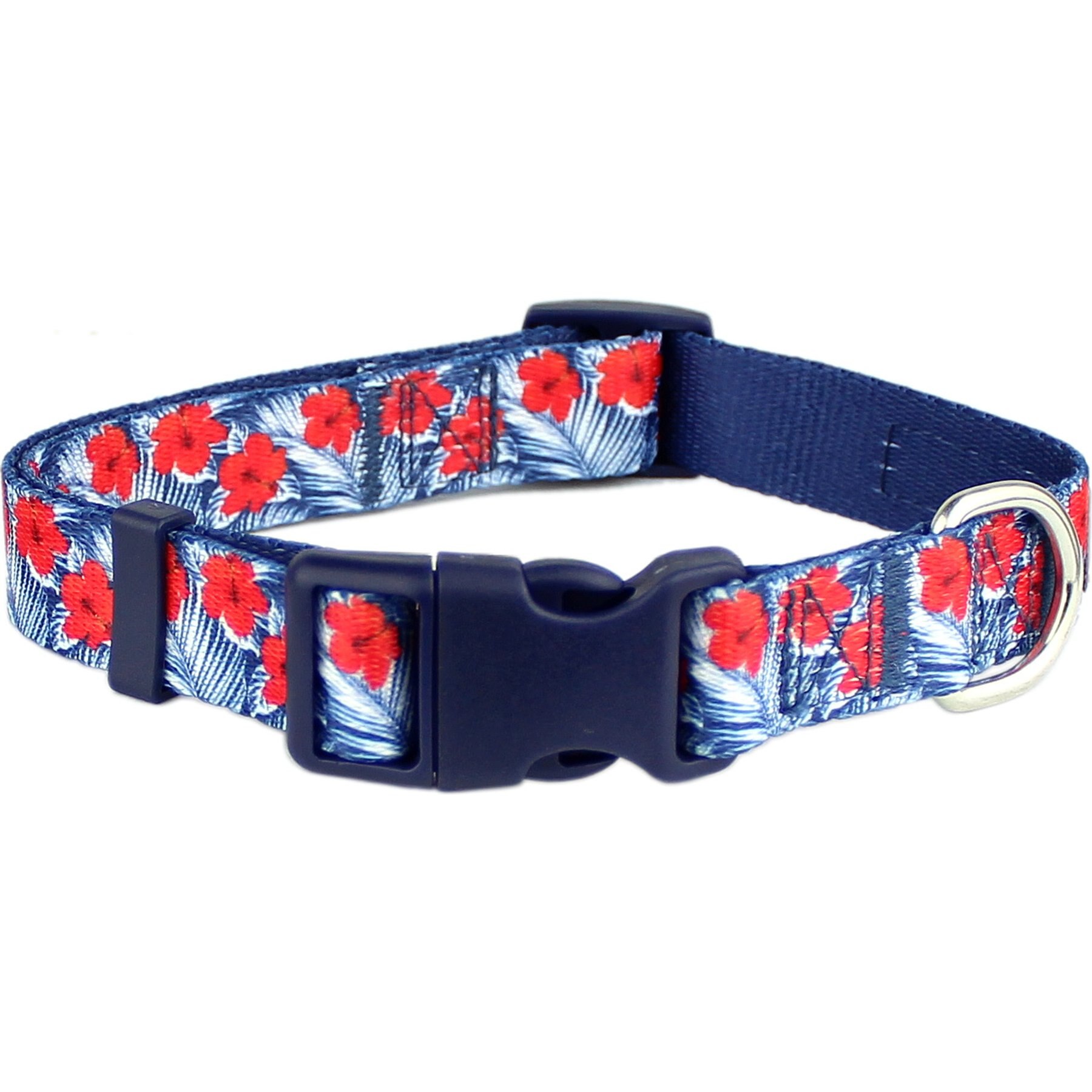 Parisian Pet Hibiscus Dog & Cat Collar, Blue, Large: 18 to 26-in neck, 1-in wide