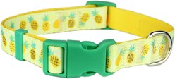Parisian Pet Pineapples Dog & Cat Collar, Large: 18 to 26-in neck, 1-in wide