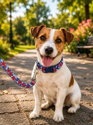 Parisian Pet Hibiscus Dog & Cat Collar, Blue, Small: 10 to 16-in neck, 5/8-in wide slide 2 of 4