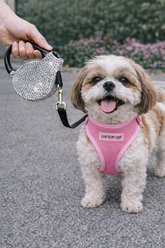 Parisian Pet Crystal Retractable Dog Leash, Silver, 16-ft long, 0.5-in wide slide 2 of 3