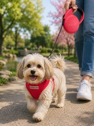 Parisian Pet Mini Retractable Dog & Cat Leash, Red, 10-ft long. 0.5-in wide slide 2 of 3